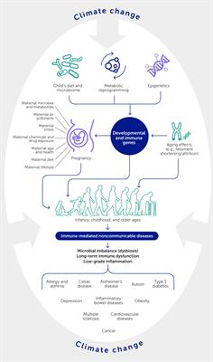 The lived experience of immune-mediated noncommunicable diseases in relation to environmental change